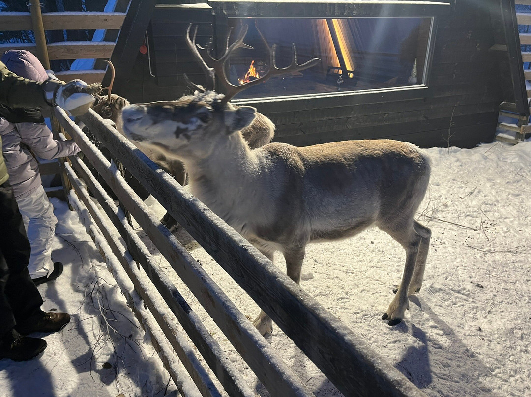 Local Lifestyle Rovaniemi-罗瓦涅米必去景点