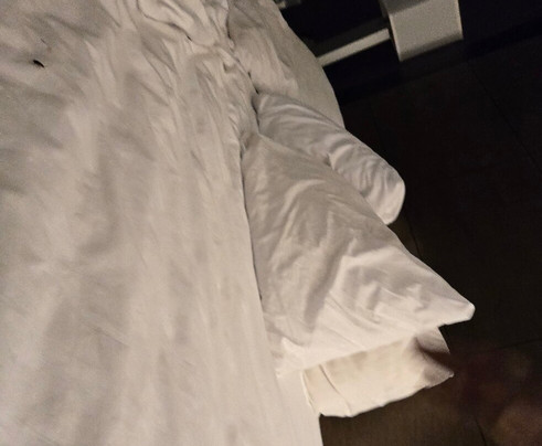 La Quinta Inn & Suites by Wyndham Baltimore N / White Marsh主图