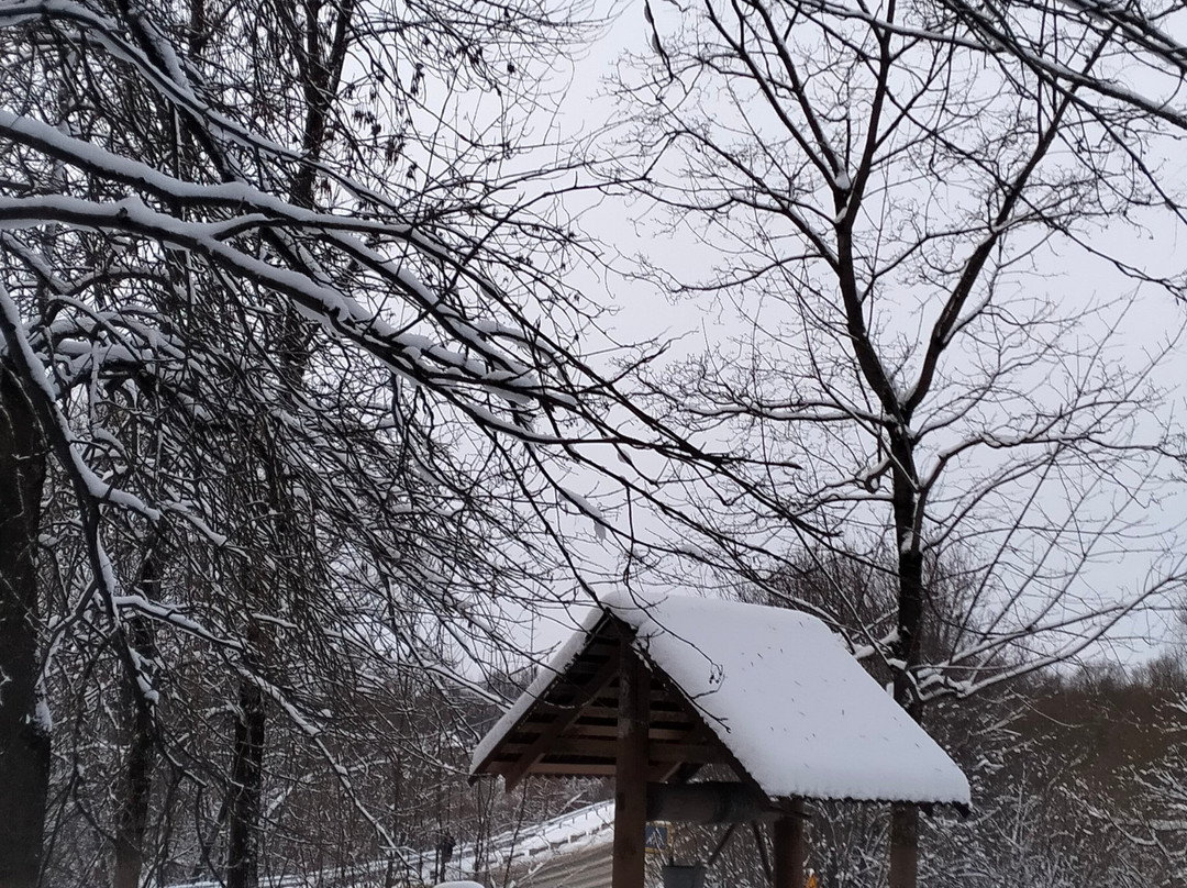 Muzey Kuptsa Lokalova-Gavrilov-Yam必去景点