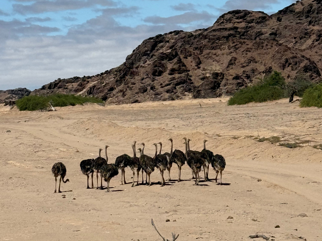 Wilderness Hoanib Skeleton Coast Camp主图