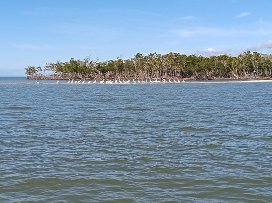 Captain Craig’s Everglades Boat Adventures LLC-Chokoloskee必去景点