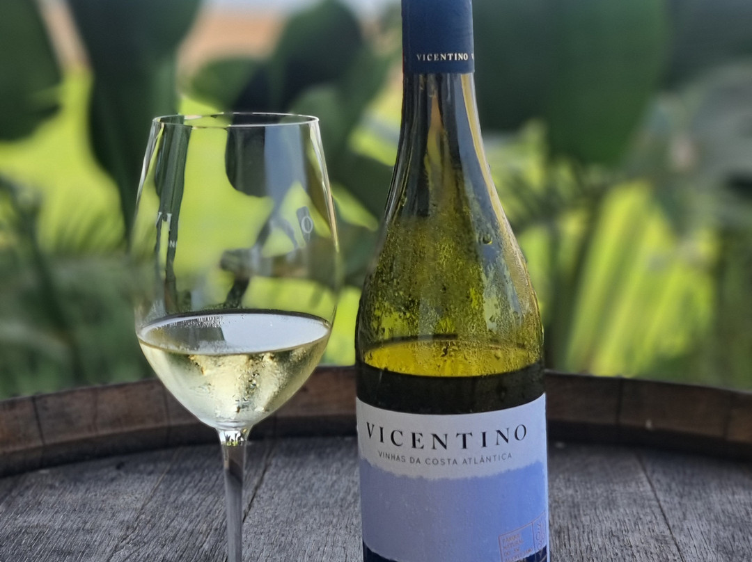 Vicentino Wines-Odemira必去景点