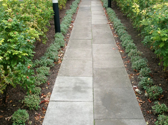 Homerton College-剑桥必去景点