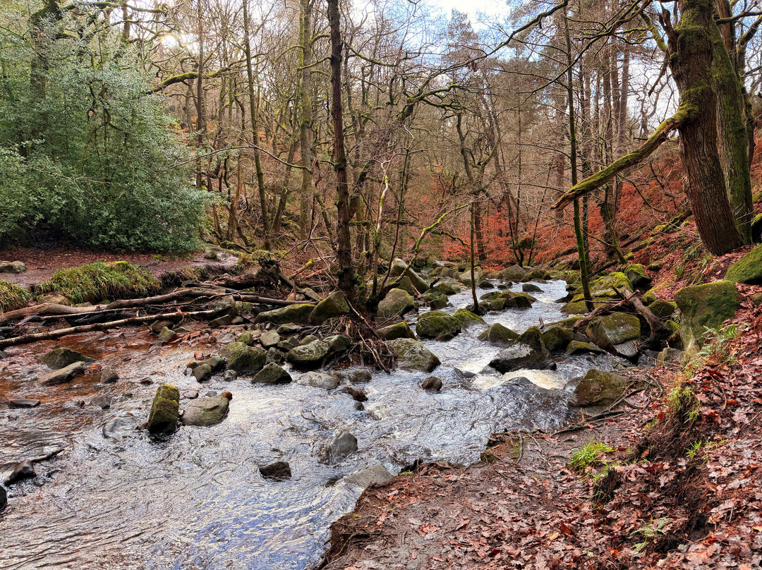 Padley Gorge-希望谷必去景点