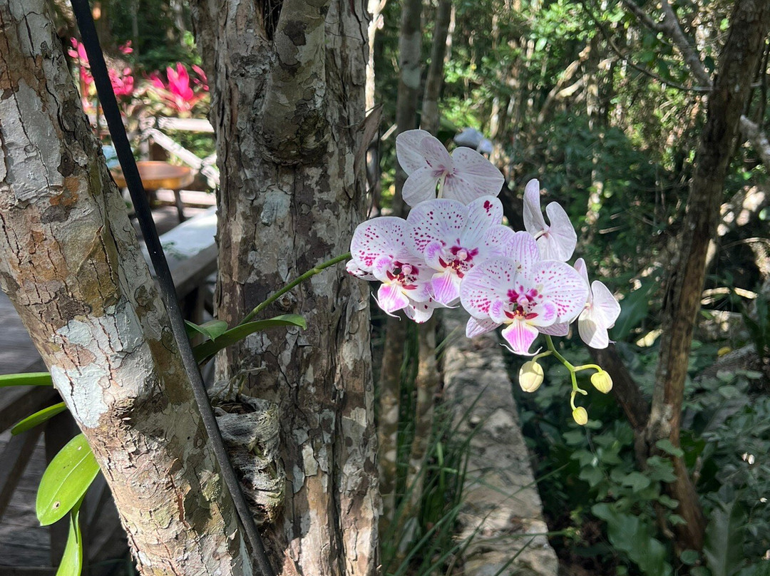 Experiencia Privada en Cenote Exclusivo-巴利亚多利德必去景点