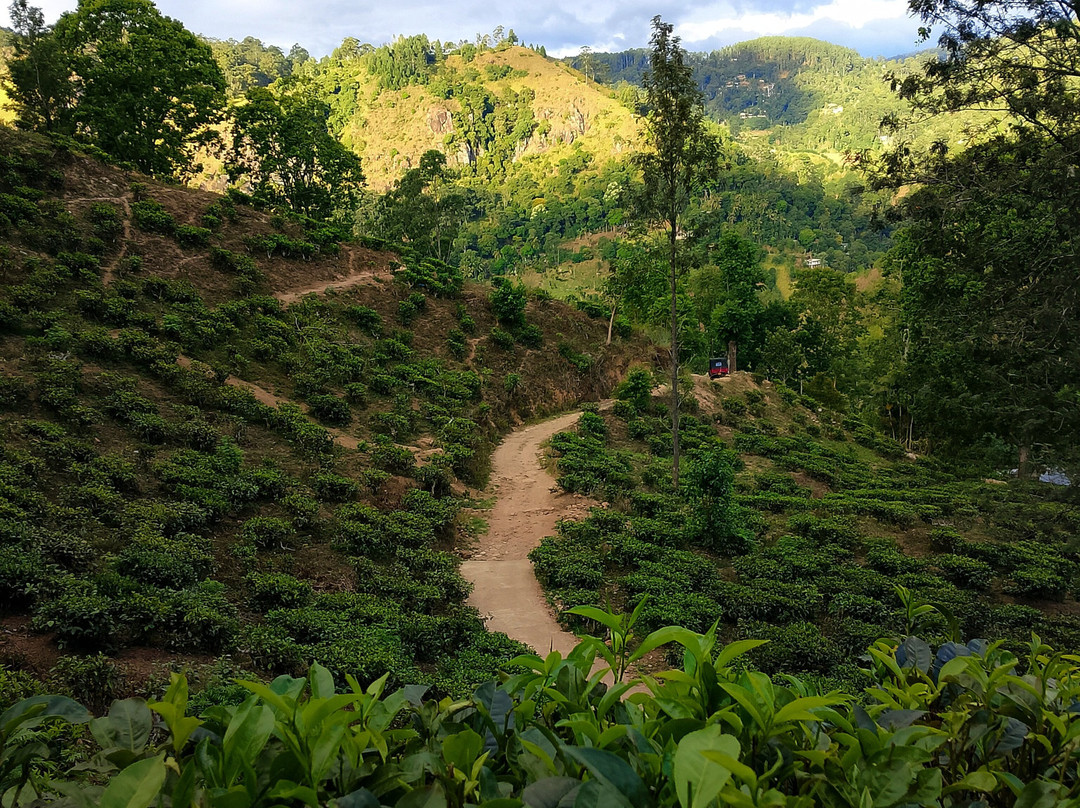 Ciao Bella Holidays-Malabe必去景点