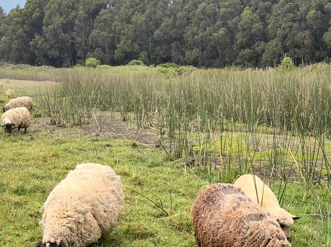 Posada del Parque-Quintero必去景点