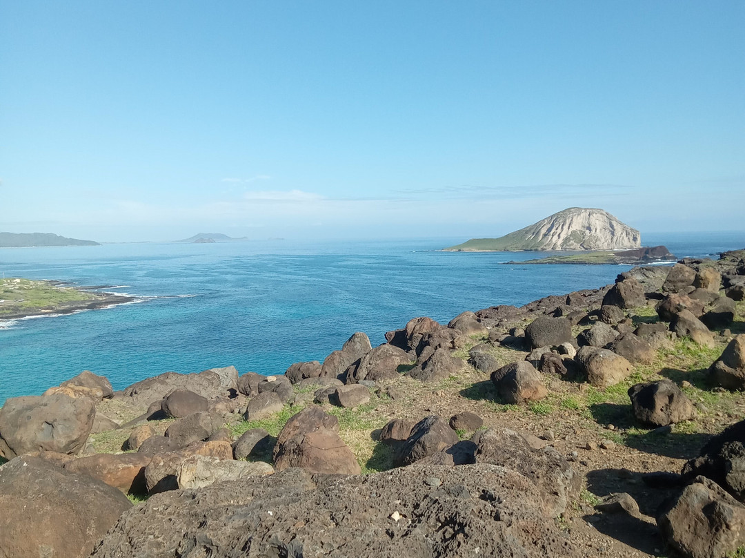 ALLSTAR TRANSPORTATION & TOURS LLC-瓦胡岛必去景点