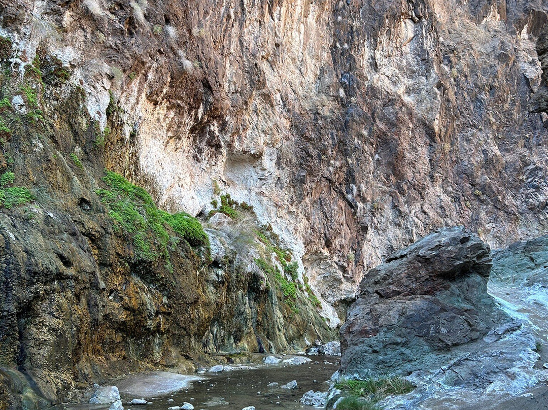 Gold Strike Canyon Hot Springs-拉斯维加斯必去景点