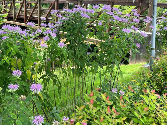 Vets Memorial Park-Ellijay必去景点