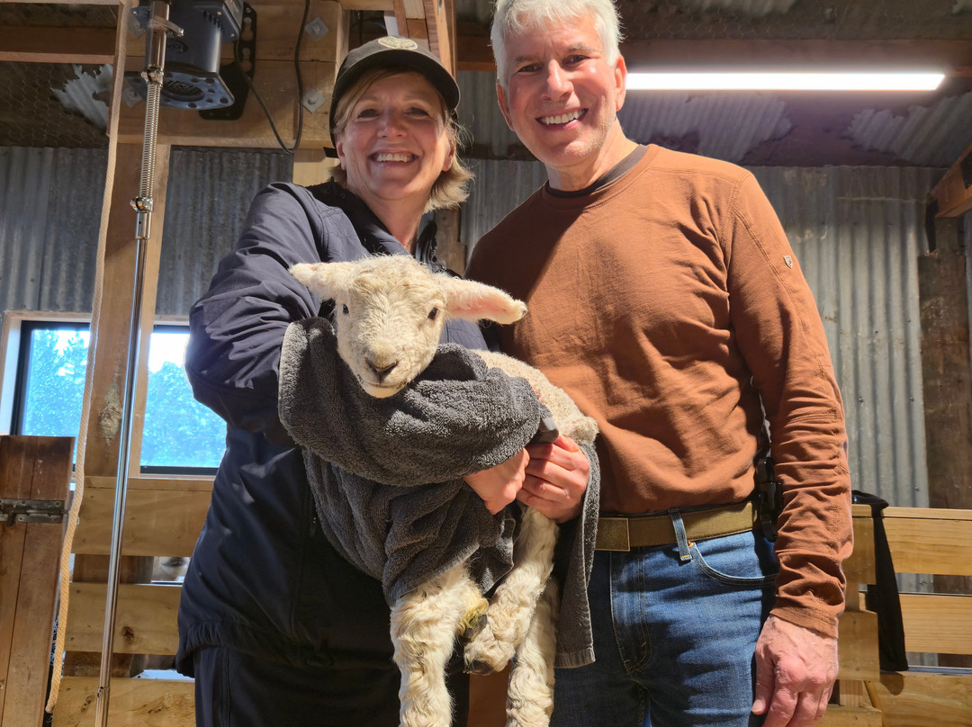 Woodstone Farm, Te Anau, New Zealand-蒂阿瑙必去景点