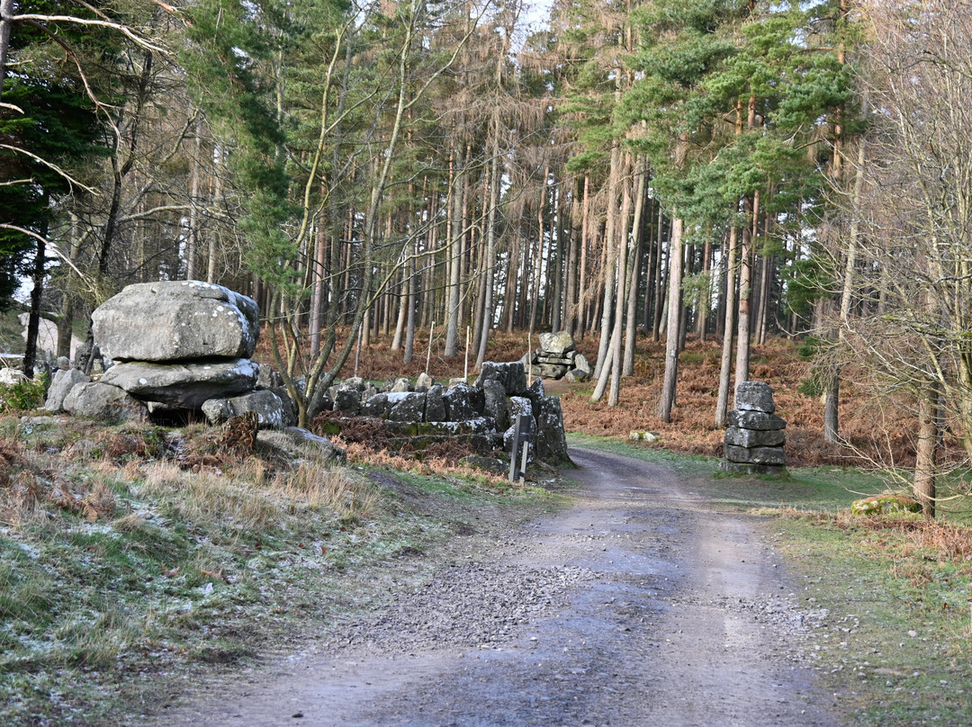 Druids Temple-里彭必去景点