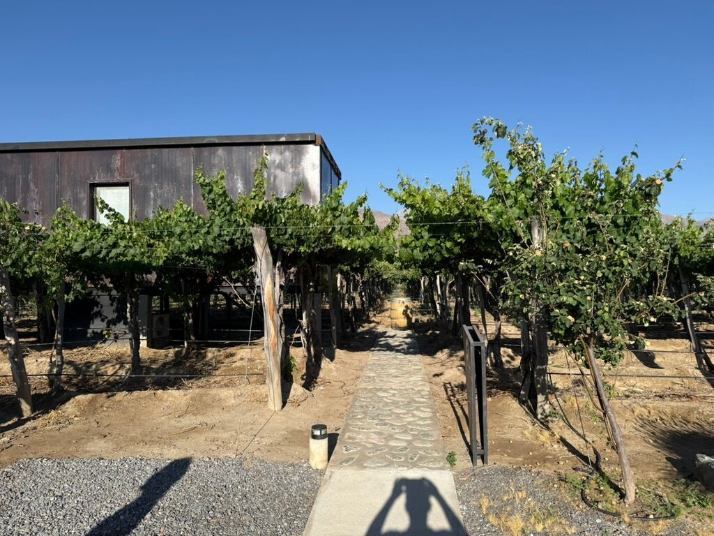 El Porvenir Wine Lodge-客卧