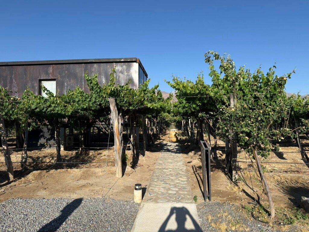 El Porvenir Wine Lodge主图