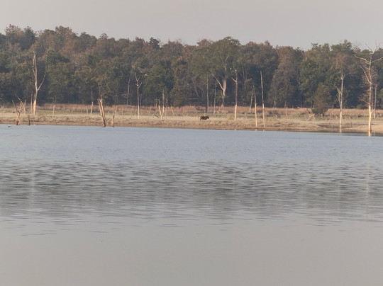 Pench Tiger Reserve-Kohka必去景点