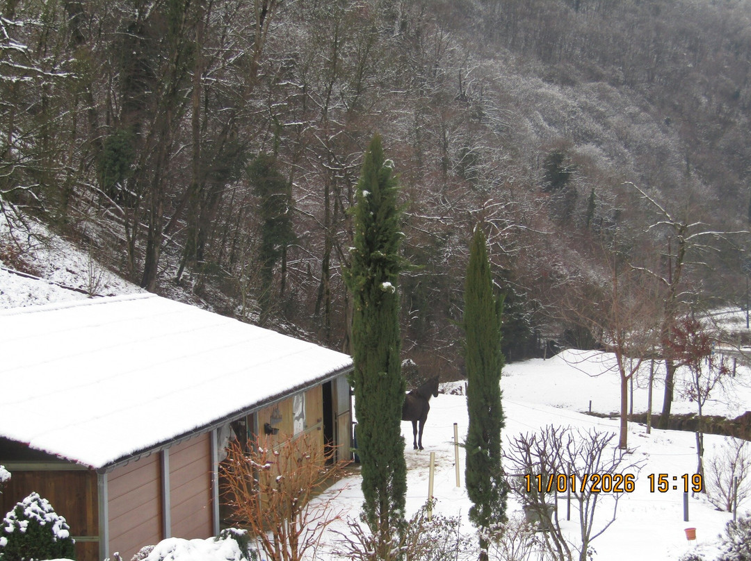 Domaine des Fées主图