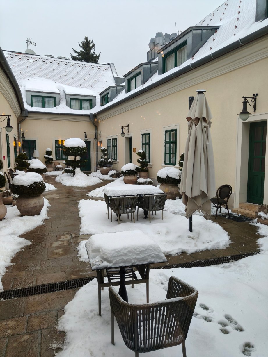 Maison Bistro & Hotel-官方