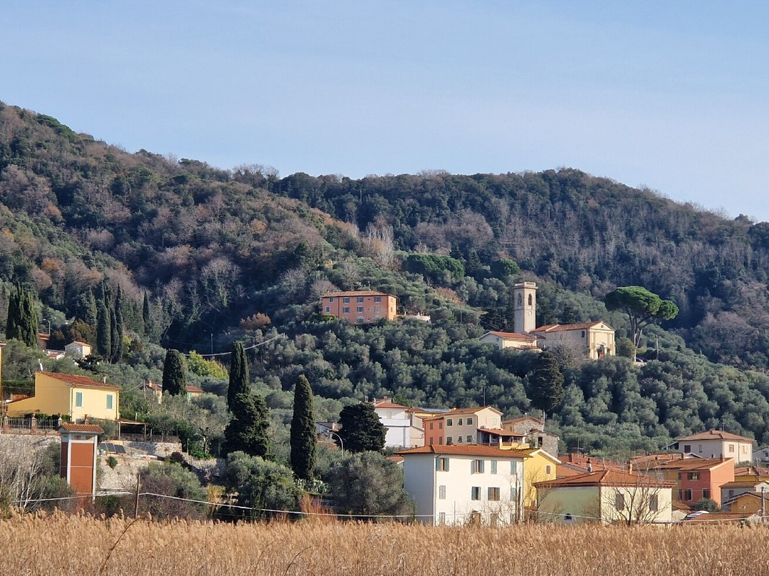 Lake Massaciuccoli-Torre del Lago Puccini必去景点