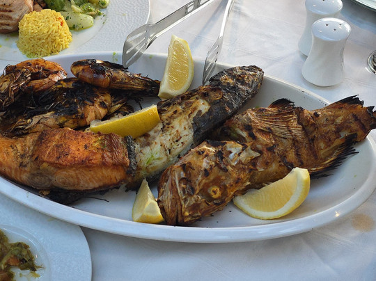 CopyFly Algeria – Cultural & Adventure Tours-Alger Centre必去景点