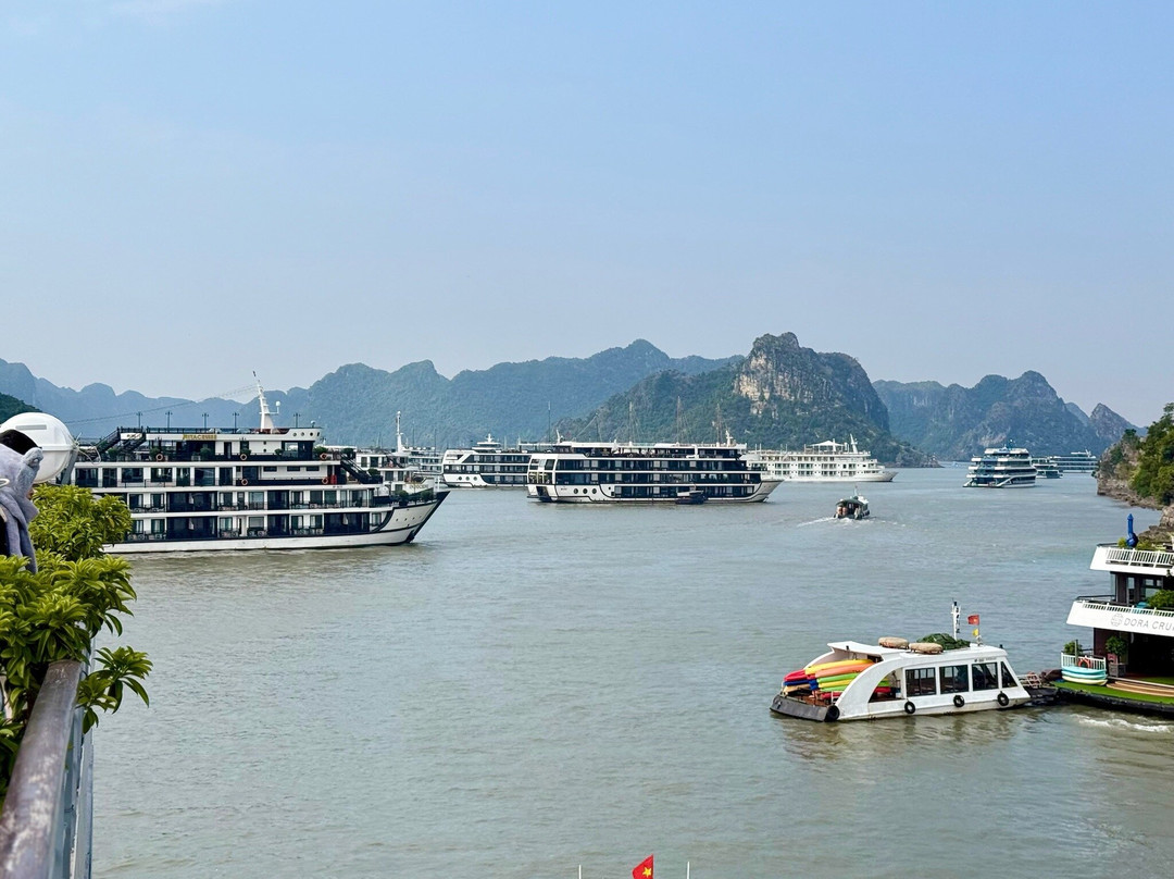 Erina Cruise-下龙湾必去景点