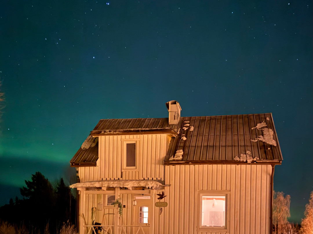 Openlappland-Amsele必去景点