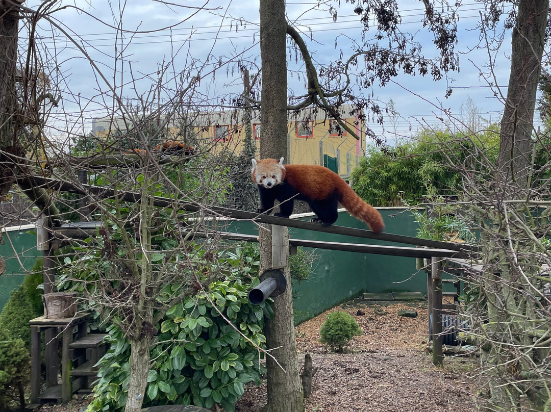Shepreth Wildlife Park-Shepreth必去景点