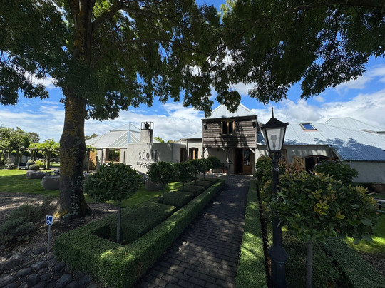 Allan Scott Family Winemakers-布伦海姆必去景点