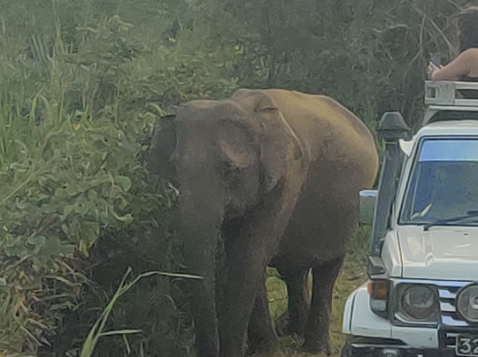 Sri Lanka Escape-Eheliyagoda必去景点