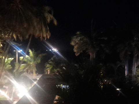 Casa Verano海滩酒店 - 仅供成人主图