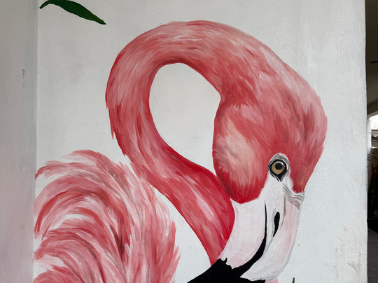 Lawson's Original Yucatan Excursions-Progreso必去景点