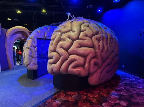 健康博物馆-休斯顿必去景点