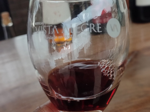 Bodegas Vista Alegre-伊卡必去景点