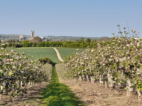 Canterbury Cathedral Panoramic Viewpoint-坎特伯雷必去景点