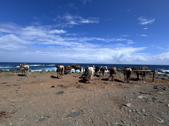 Rancho Loco-Santa Cruz必去景点