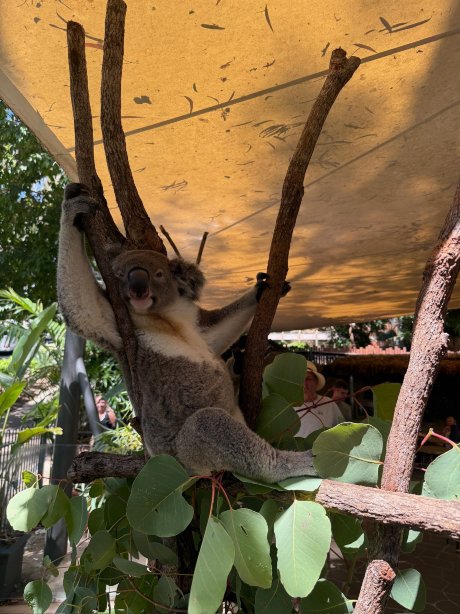珊瑚景酒店-浴室
