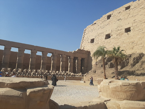 Albatross Travel Egypt-赫尔格达必去景点