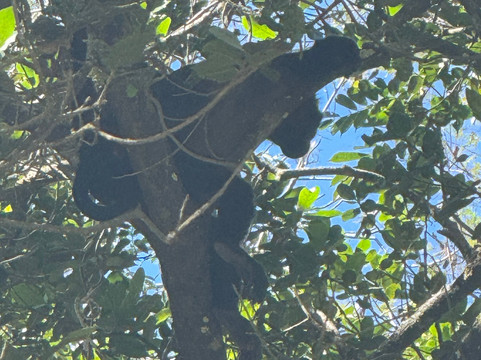 Tenorio Adventure Company-瓜纳卡斯特省必去景点