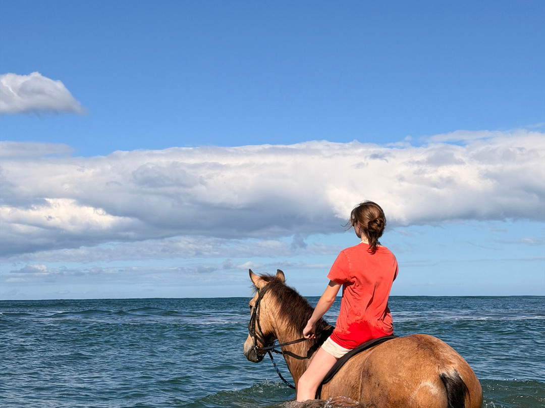 Mirador Equestrian-Playa Avellanas必去景点