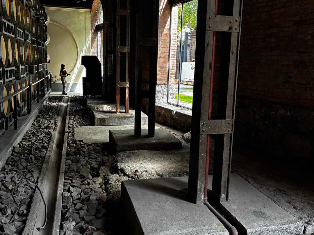 Bodega Los Toneles-门多萨必去景点