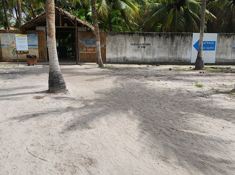 Jeri Top Tour-Jijoca de Jericoacoara必去景点