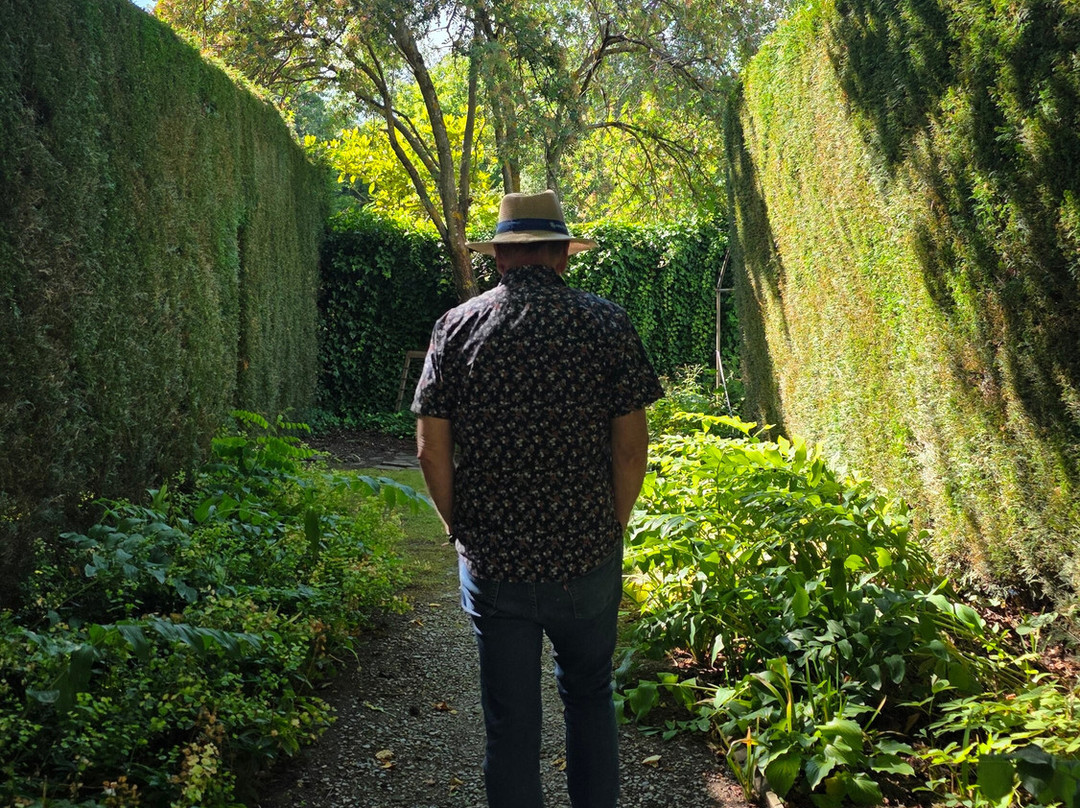 The Orchard Garden