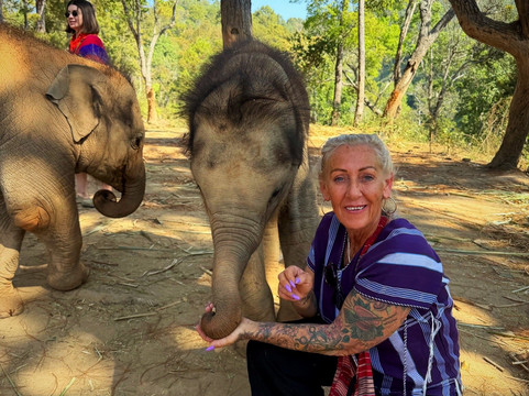 Elephant Freedom Village-清迈必去景点