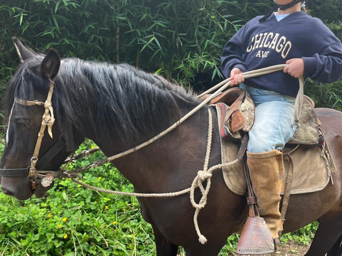 Rancho Pullao-Castro必去景点