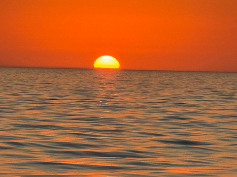 Captain Craig’s Everglades Boat Adventures LLC-Chokoloskee必去景点