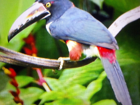 Nectar Pollen Reserve-瓜匹来斯必去景点