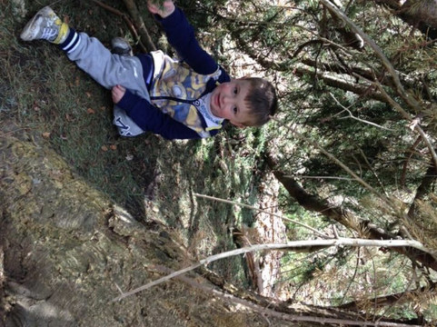 Skylark Maize Maze & Funyard-March必去景点