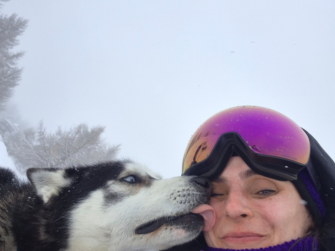 The Husky Experience Sestriere-Sestriere必去景点