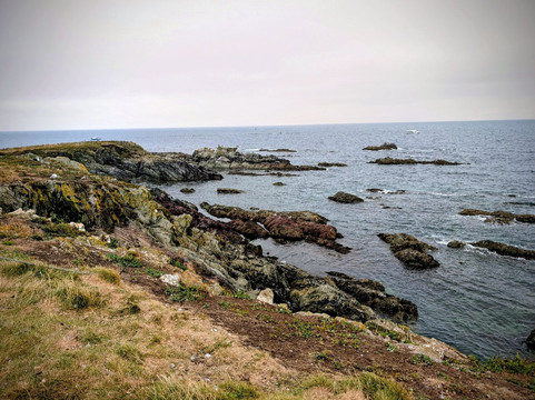 Looe Island-卢城必去景点