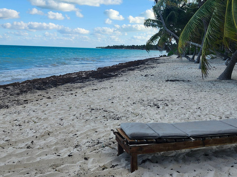 天空与森林酒店主图
