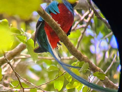 Jason Lara Tours-波魁特必去景点